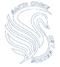 https://comisocalcio.it/wp-content/uploads/2026/10/tc-team-santa-croce-soccer.png