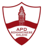 https://comisocalcio.it/wp-content/uploads/2026/10/tc-team-sommatinese-calcio.png